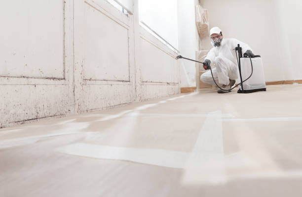 24/7 Emergency Mold Remediation experts in Highland Park, TX