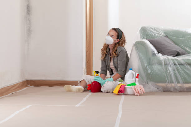 Reliable Mold Remediation contractor in Highland Park, TX by WQB Mold Removal